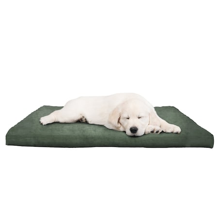 Pet Adobe 3 inch Foam Pet Bed-35x44 inches-Forest 245136NTH